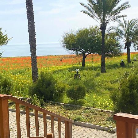 Paradise Karpaz Hotel & Restaurant Rizokarpaso Kültér fotó