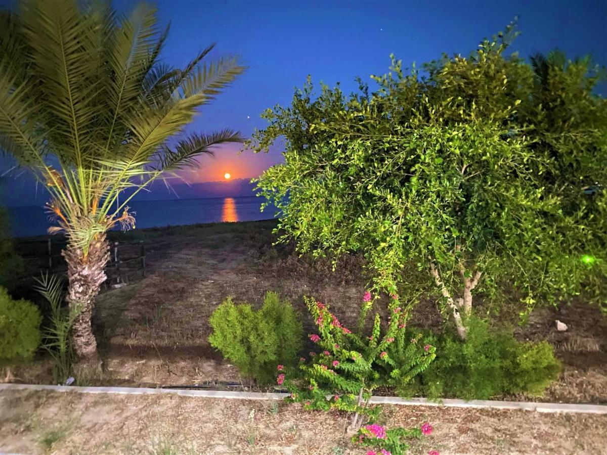 Paradise Karpaz Hotel & Restaurant Rizokarpaso Kültér fotó