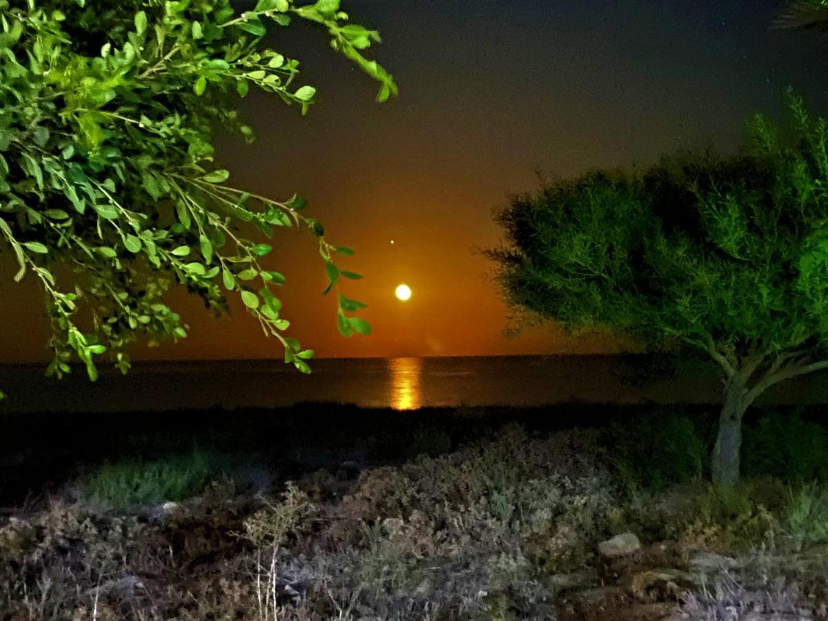 Paradise Karpaz Hotel & Restaurant Rizokarpaso Kültér fotó