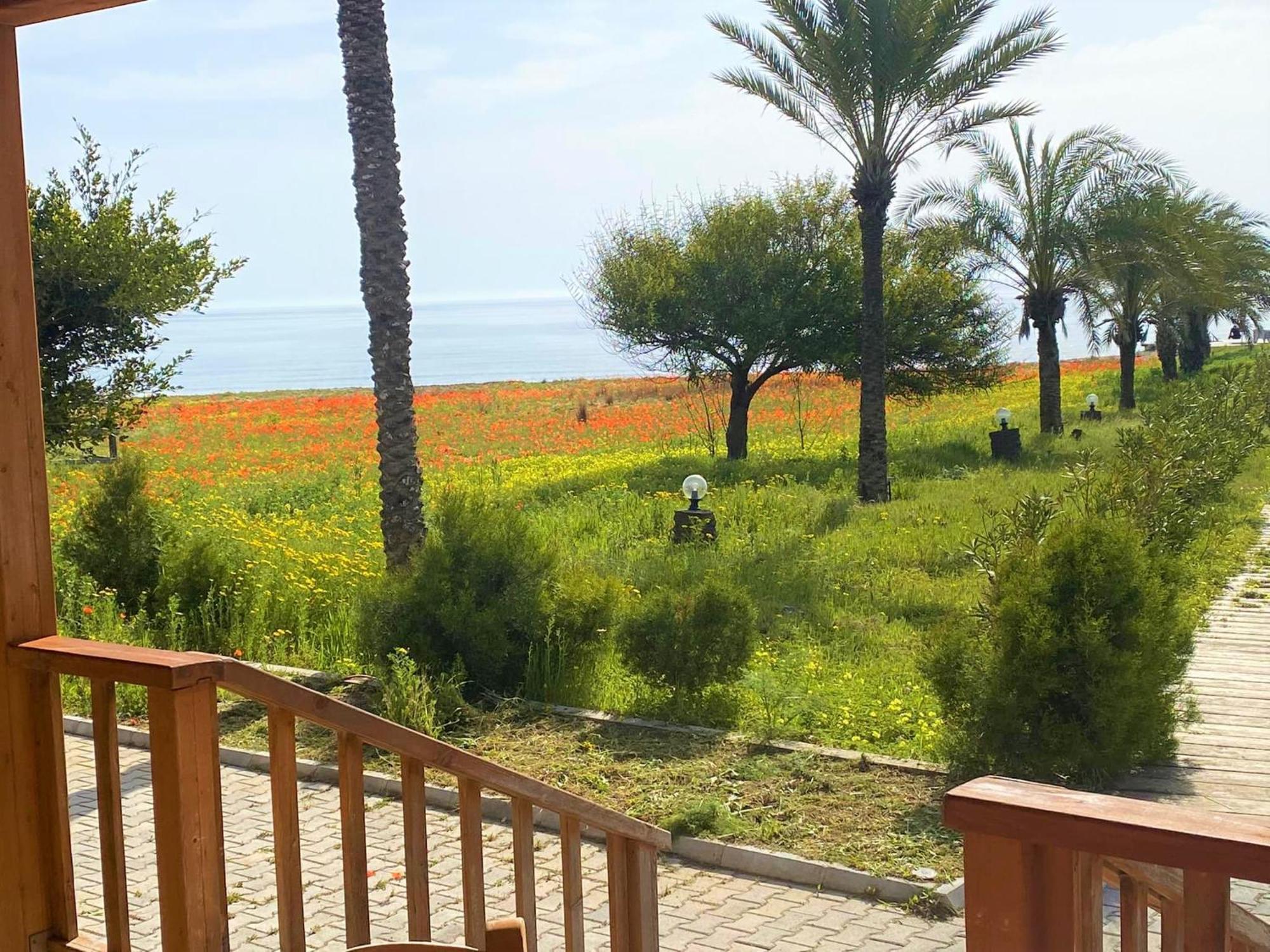 Paradise Karpaz Hotel & Restaurant Rizokarpaso Kültér fotó
